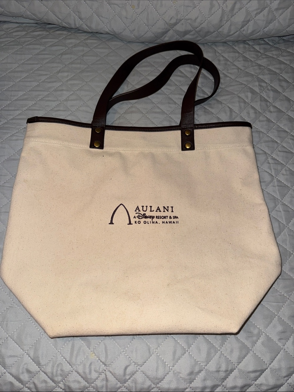 Disney Aulani Canvas Tote Bag in Cream with Brown Trim